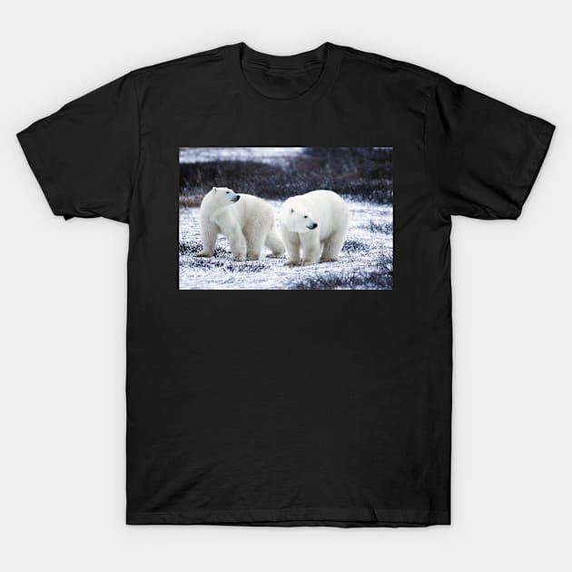 Polar Bears T-Shirt by kawaii_shop